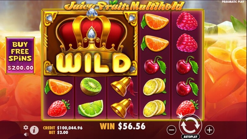 Juicy Fruits Multihold