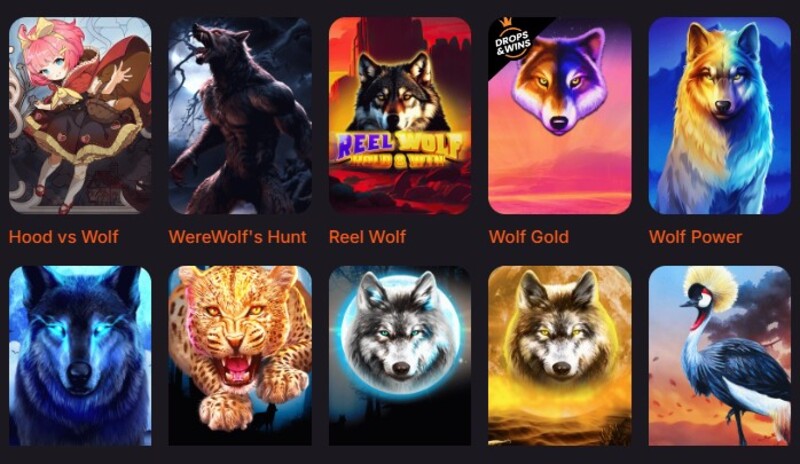 Wolf Gold bij Betsomnia